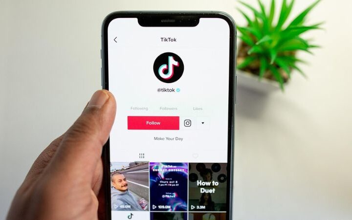 Estrategias de Fidelización y Comunidad en TikTok